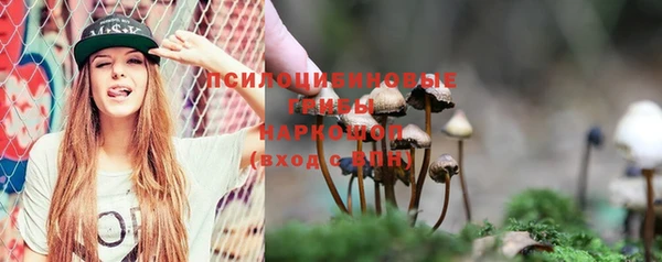 синтетический гашиш Ладушкин