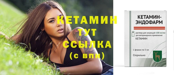гидра Липки