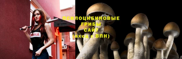 кокаин премиум Лабытнанги