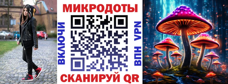 Псилоцибиновые грибы Cubensis  Лениногорск 
