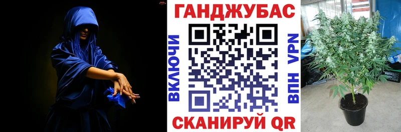 Бошки марихуана семена  Лениногорск 